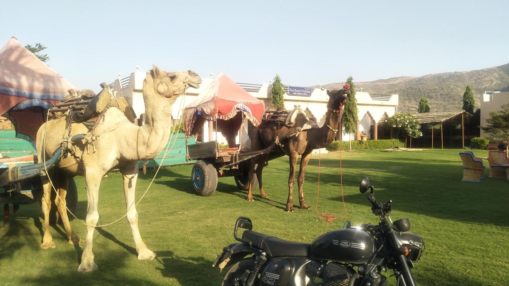 Pari Resort With Nature View Pushkar Exterior photo